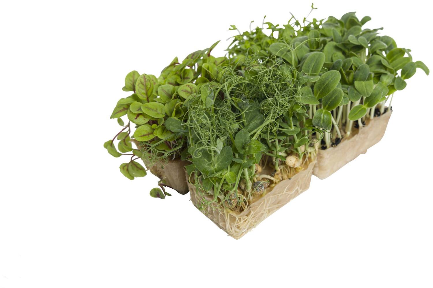 Spring mix